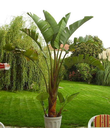 2006.jpg