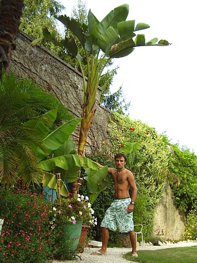 2009.jpg