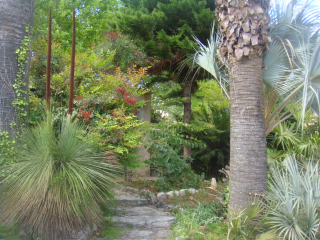 DSC05787.JPG