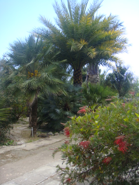 DSC05790.JPG
