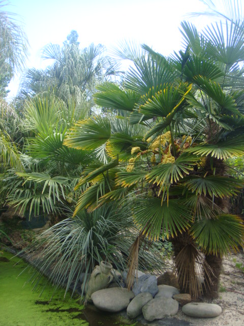DSC05795.JPG