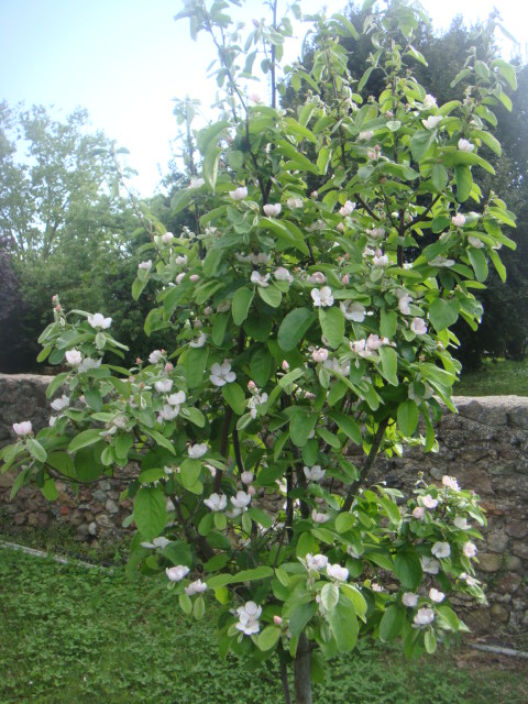 DSC05802.JPG