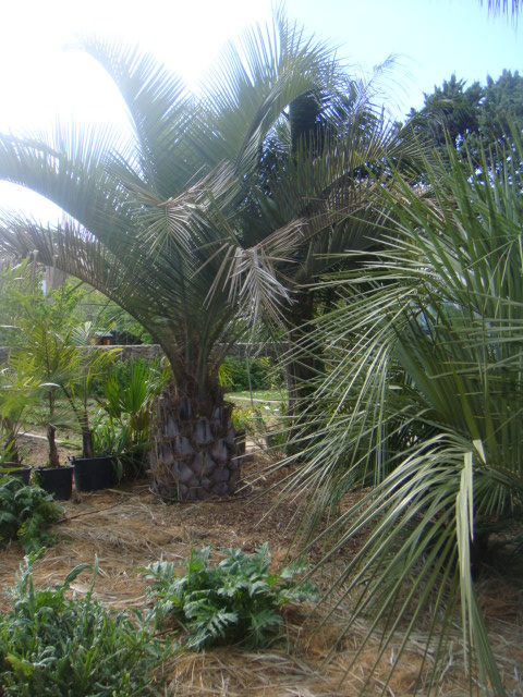 DSC05805.JPG