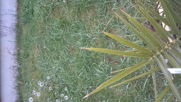 DSC_02002.jpg
