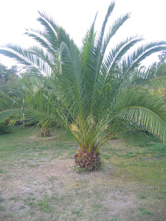 voilà le plus gros en 2010