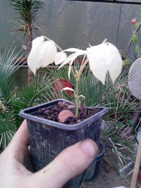 P260414_19.34.jpg