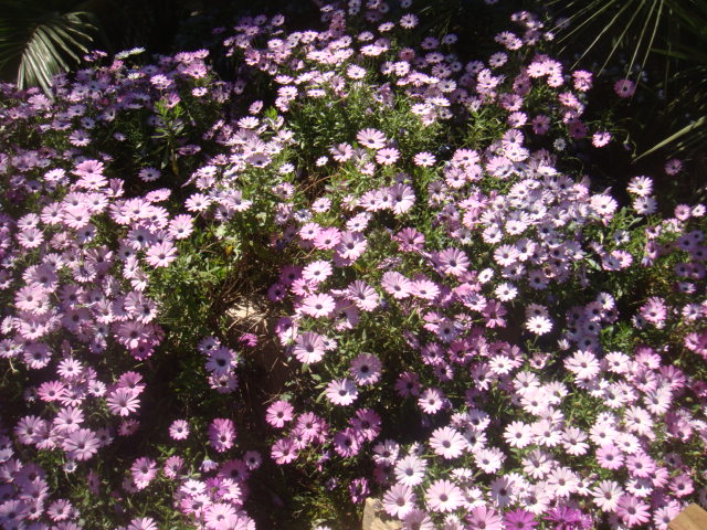 DSC05815.JPG