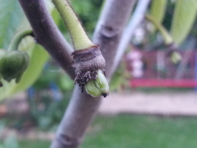 20140505_204239.jpg