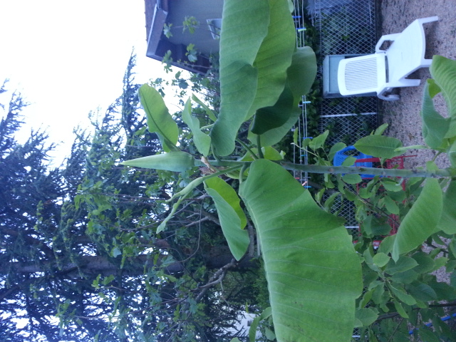20140505_205023.jpg