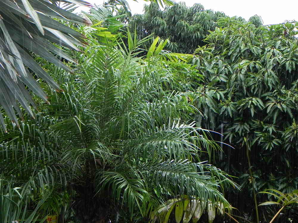 DSCN2623.JPG
