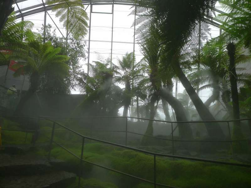 P1080478-800.jpg