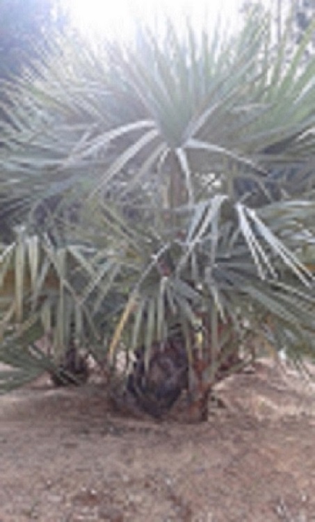 20140511_094907.jpg