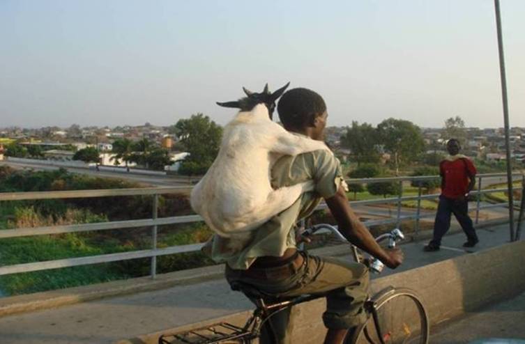 Afrique.jpg