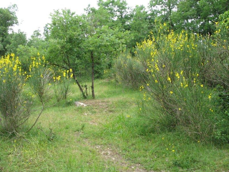 Le coin des ânes...