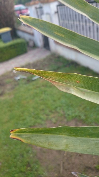 DSC_0229.jpg