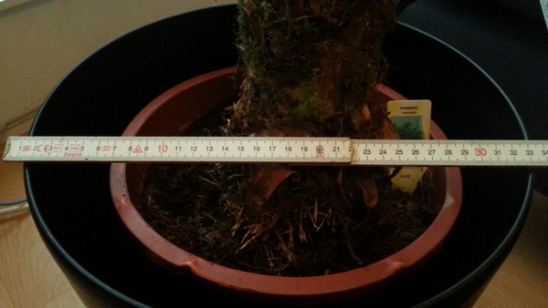 20140604_211618.jpg