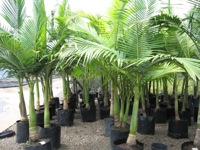 Photo 2.jpg