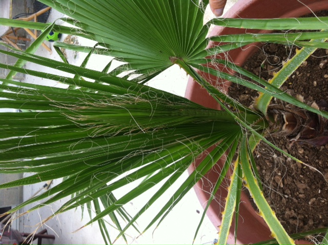 photo 2.JPG