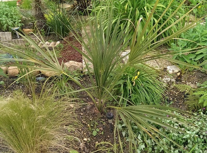 IMAG0305.jpg