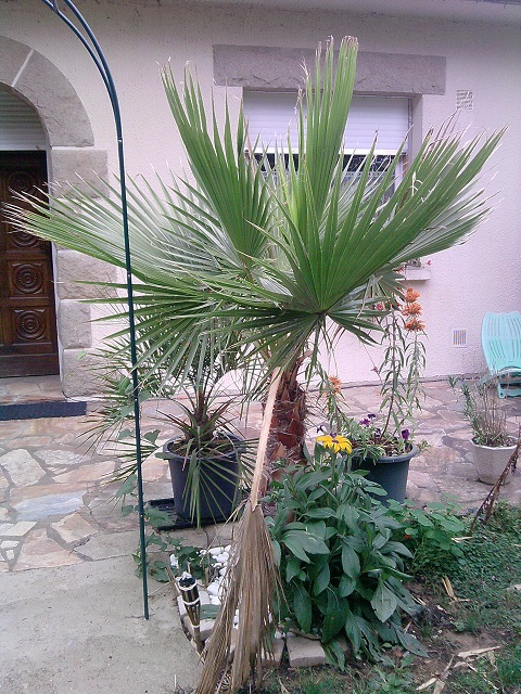 P290913_13.53.jpg