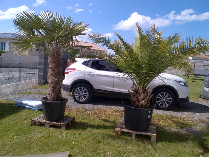 les deux nouvelles recrues