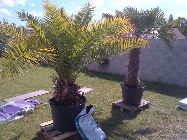 IMG-20140607-00593.jpg