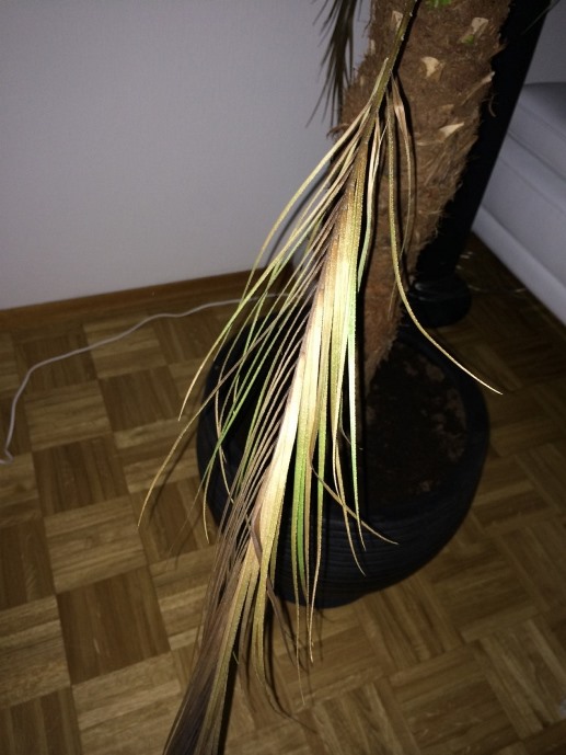 image1.jpeg