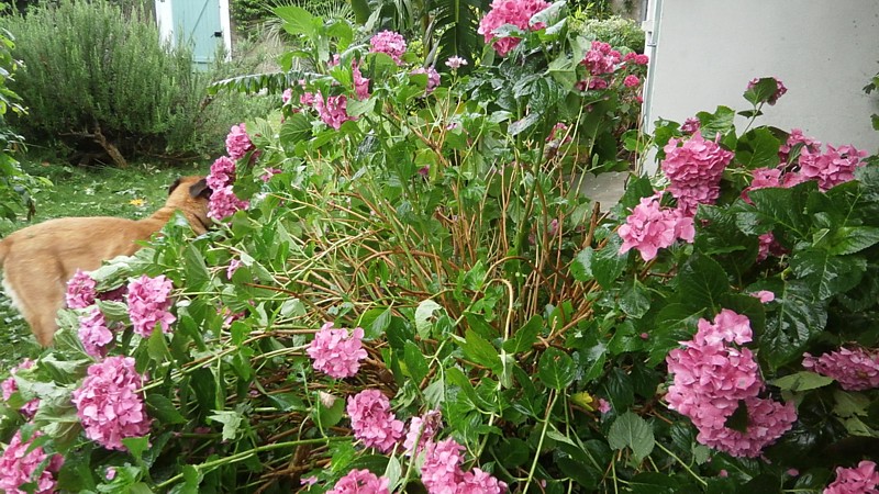P1010015.JPG