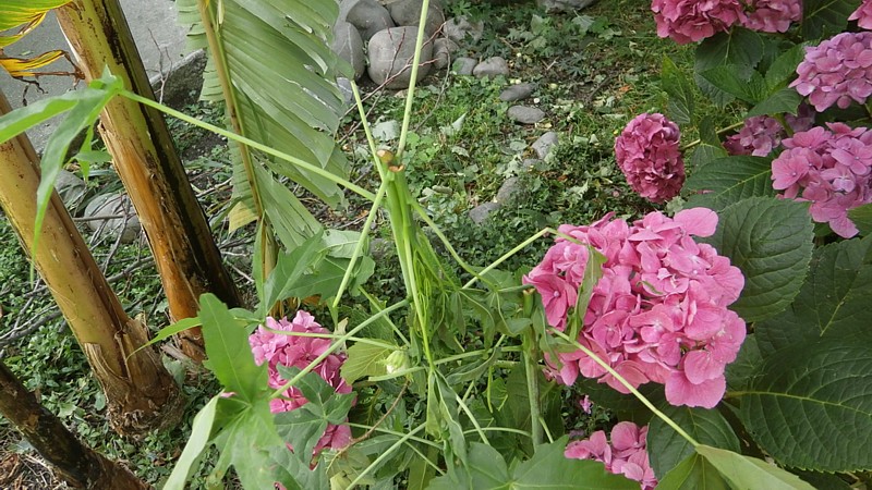 P1010100.JPG