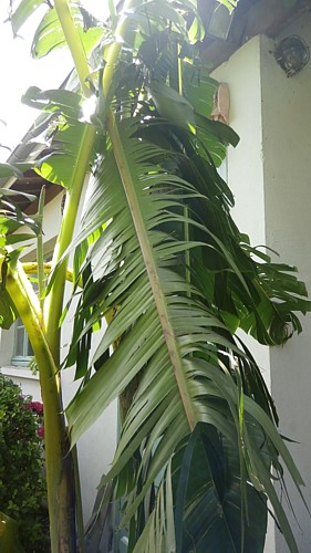 P1010101.JPG