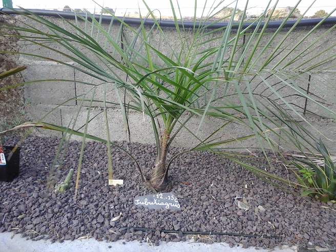 20140726_204655 - Copie.jpg
