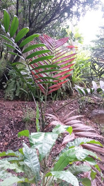 20140729_191326 (2)bis.jpg