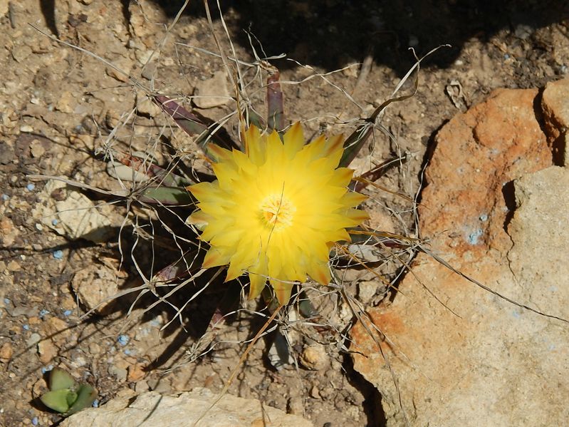 DSCN3745 [800x600].JPG