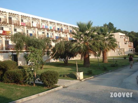 Mitsis-Roda-Beach-Resort-et-Spa palmier.jpg