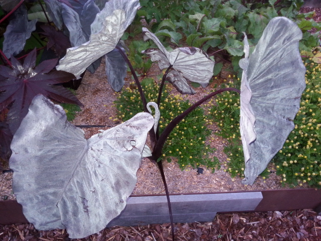 20140824_072227.jpg