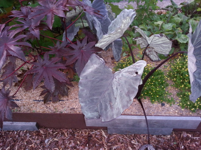 20140824_072239.jpg
