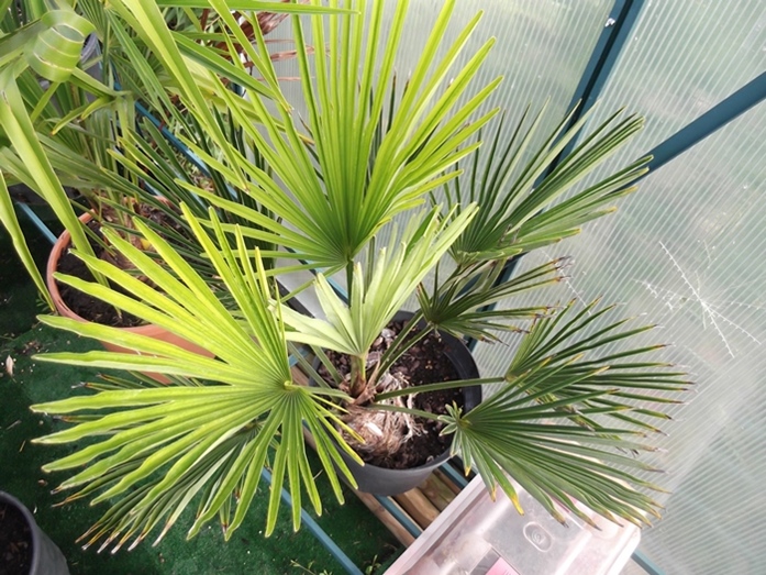 DSCF0028.JPG