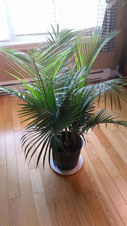20140825_140601_OPT.jpg