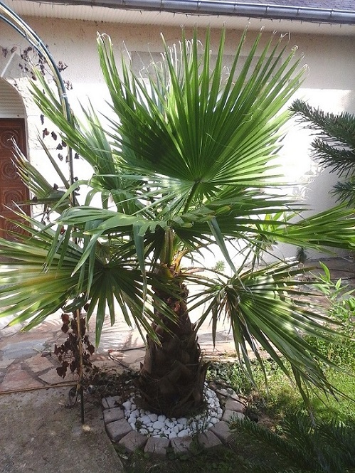 20140905_121051.jpg