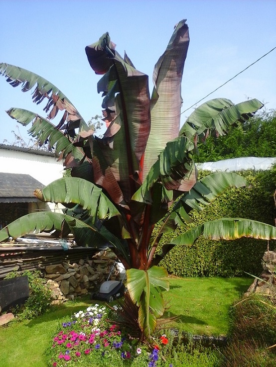 20140905_115748.jpg