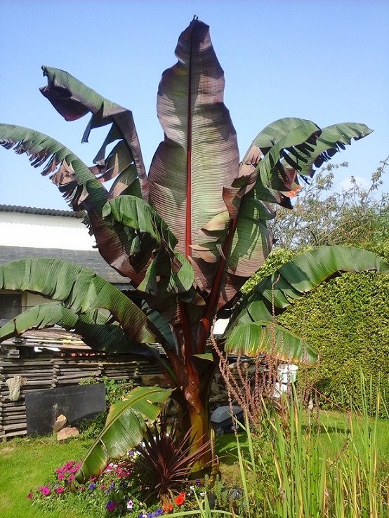 20140905_115816.jpg