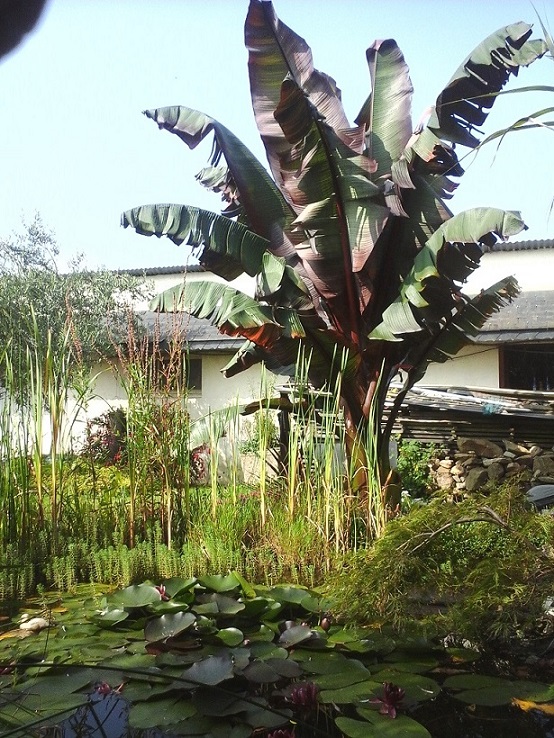 20140905_115930.jpg
