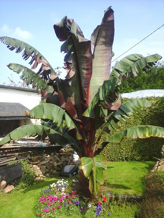 20140905_120107.jpg