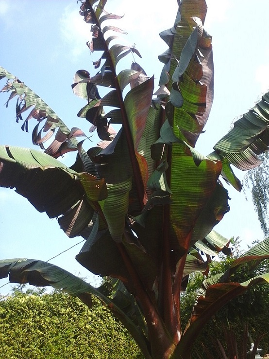 20140905_120033.jpg
