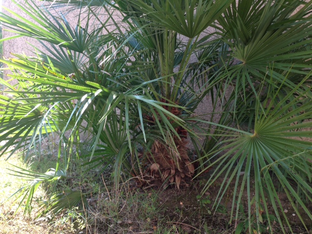photo 2.JPG