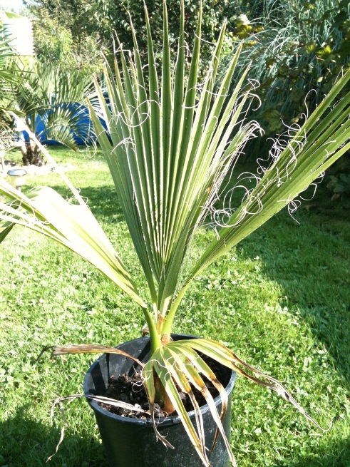 photo.JPG