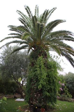 29.9.14 (3) - Copie.JPG