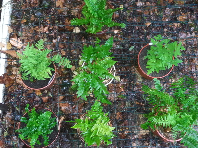 20141012_104444.jpg