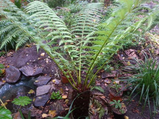 20141012_104650.jpg
