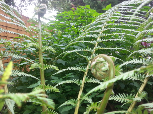 20140822_105351.jpg
